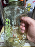 炊大皇运动水杯吨杯大容量吨桶运动水壶塑料水杯 绿色1600ml 实拍图