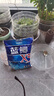 龙王恨鱼饵野战蓝鲫X5腥香钓鱼饵全年通用可搓可拉黑坑野钓鱼食钓鱼饵料 蓝鲫系列鱼饵10包装(共2660g) 实拍图