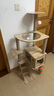 乐妃猫爬架子猫窝猫树一体小型不占地猫架猫咪太空舱跳台玩具 实拍图