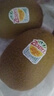 佳沛（zespri）新西兰 阳光金奇异果12粒礼盒特大果单果约122-146g 猕猴桃 水果 实拍图