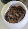 龟真寿虾虫鱼三合一龟饲料850ml  135g 淡水虾干小鱼干面包虫干龟零食 实拍图