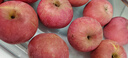 京鲜生 山东栖霞红富士苹果精品12粒 单果190g-240g  水果礼盒 实拍图
