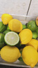 京鲜生 安岳黄柠檬16粒 单果95g-120g 生鲜水果 实拍图