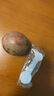 京鲜生 广西紫皮百香果 1斤装 约6-8粒 单果约70g 酸甜风味 生鲜水果 实拍图