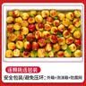 爱鲜摘农场陕西大荔冬枣【京东顺丰-次日达】新鲜片红枣牛奶枣水果礼盒中秋 【超大冰糖甜】稀缺果王 20g+ 5斤礼箱装【金奖果-送礼有面】净4.5 实拍图
