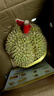 小憨哇泰国金枕头榴莲新鲜带壳进口应季水果整箱精品老树果整箱批发鲜果 净重2.3-3.3斤 实拍图