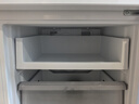 美的（Midea）三门251家用电冰箱小户型三开门风冷无霜变频一级能效节能宿舍租房多门MR-251WTPE【国家补贴】 实拍图