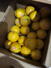 褚橙 云南冰糖橙  优级果 L 10斤装 单果约130g起 生鲜水果礼盒 实拍图