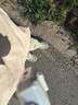 顶峰保罗（Dingfengbaoluo）美式高街牛仔裤男秋季休闲直筒百搭修身微喇长裤DFS09黄泥色2XL 实拍图