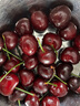 枝头熟大连美早大樱桃250g 单果10g＋ 实拍图