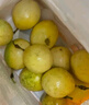 鲜青录广西黄金百香果钦蜜9号新鲜水果黄色白香果西番莲鸡蛋果 甄选5斤大果(单果70-90g) 实拍图