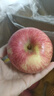 佳农 烟台红富士苹果 净重10斤大果 果径85mm+ 生鲜水果礼盒 实拍图