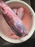 鲜羊官 内蒙古草原羊肉  羊腿 羊小腿 羊腱子 羔羊烧烤食材 法式小腿2.2斤 实拍图