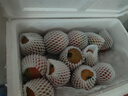 京鲜生 山东铁皮草莓西红柿 净重4.5斤 单果60-150g水果番茄源头直发 实拍图