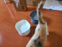 乐优派猫碗狗碗宠物喂食器猫食盆水盆猫盆狗盆防打翻斜口宠物用品 摩登碗-灰 实拍图