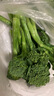 绿食者 甜杆西兰苔 新鲜蔬菜芦笋西兰花时令蔬菜清甜脆嫩西餐食材 500g 实拍图