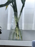 吕姆克花瓶玻璃现代简约田园家居花瓶摆件餐厅客厅桌面装饰冷纹花器5258 实拍图