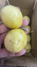 黄金百香果钦蜜9号大果孕妇新鲜当季鲜果妃多多 钦密9号百香果35-45g 5粒装 爆甜【产地直发】越皱越甜 实拍图
