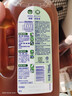 滴露（Dettol）洗衣消毒液衣物消毒水750mL除螨 家居地板杀菌 非84松木香 实拍图