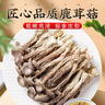 京鲜生 鹿茸菇干货1斤 云南特产煲汤炒菜火锅食用 源头直发 实拍图