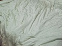 京东京造 进口兰精天丝四件套 60支莱赛尔A类床单款床上套件 1.5米床 芽青 实拍图