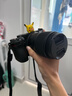 尼康（Nikon）Z30入门级微单相机Vlog家用自拍4K高清旅游高清数码照相机z30拆单机 Z30 18-140mmf3.5-6.3 VR镜头 官方标配【不要礼品可折价】 实拍图