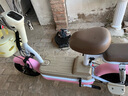飞鸽 FG FLYING PIGEON电动车锂电成人女生女士小型电动自行车轻便电单车2025新款电瓶车两轮车 蜜璃粉【新升级款/可上牌照/智能快充】 【铅酸】12A石墨烯/可提充电/助力续航70km 实拍图