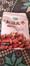 十月稻田 新疆灰枣 500g 若羌红枣 小枣 休闲零食 干果 泡水煮粥补气血 实拍图