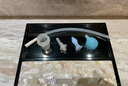 贝亲(Pigeon) 婴儿吸鼻器 婴儿吸式吸鼻器 鼻腔清洁器 15144 实拍图