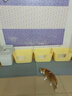 HONEYCARE好命家 好命天生红晶钠基矿石猫砂6.18kg除臭高效结团猫咪用品  实拍图
