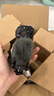 索尼（SONY）ZV-E10 微单数码相机 4K视频 vlog 直播相机 zv-e10 创意滤镜 E10单机身 黑 【赠 相机套+64G卡】 官方标配【国补专享】 实拍图