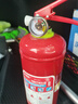 绿消国标车用家用商用手提式灭火器1公斤消防MFZ/ABC1汽车年检 1kg 实拍图