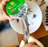 张小泉正宗多功能厨房剪刀家用食品级不锈钢鸡骨剪菜剪肉杀鱼开瓶大剪子 剪鸡鸭鹅骨头食物熟食烤肉海鲜开瓶夹核桃赠磁吸式剪套 实拍图