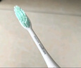 飞利浦（PHILIPS）电动牙刷头 3D软毛呵护牙龈 适用于HX2421/2431/2451/2461/2462/2471/2482等小羽刷系列 5支 装-HX2025 实拍图