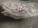 薇施妮（WEISHINI）韩版蝴蝶结发夹水晶弹簧夹镶钻优雅顶夹子一字夹气质成人发饰 四叶草紫罗兰  A26-201 实拍图