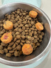 皇家狗粮 雪纳瑞幼犬狗粮 犬粮 宠物小型犬 SNJ30全价犬粮2-10月1.5KG 实拍图