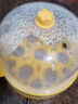 志高（CHIGO） 志高煮蛋器家用大容量蒸蛋器小型迷你早餐煮鸡蛋神器插电使用小蒸锅 双层 PP【防干烧配防烫蒸盘】加大容量 实拍图