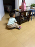 戴维贝拉（DAVE＆BELLA）男童束脚裤加绒儿童裤子幼儿童裤秋冬新款男宝宝休闲裤小童长裤 中麻灰【现货】 90 cm（建议身高80-90cm） 实拍图