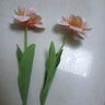 爱已装糖ins风假花仿真花束餐桌摆花客厅摆件装饰绢花重瓣郁金香浅粉2支 实拍图