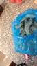 禧美海产 厄瓜多尔巨无霸白虾 去冰净重3斤 30-40只/kg 盐冻大虾 海鲜水产 实拍图
