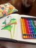 凯兰帝【中秋礼品】瑞士卡达NEOCOLORII水溶性10色专业级重彩油画棒蜡笔10色7500310写生 实拍图