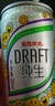 青岛啤酒（TsingTao）纯生原麦汁浓度10°P  200ml*24听 整箱装 实拍图