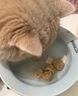 阿飞和巴弟猫粮e76益生菌全价冻干双拼猫粮P86无谷纯鸡肉低敏成猫幼猫猫粮 阿飞和巴弟e76猫粮试吃装60g 实拍图