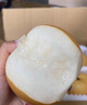 甜萌果蔬山东秋月梨 新鲜水果冰糖梨 送人送礼当季水果年货送礼盒 3斤甄选装【约3-5个】净重2.5斤 实拍图