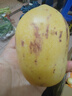 冉沃优选甘肃民勤新鲜人参果黄心水果皮薄多汁应季果现摘现发净重4.5斤 【品质果】4.5斤100-150g单果 实拍图