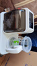 小壮熊（XIAOZHUANGXIONG）恒温水壶 紫外线消毒柜婴儿奶瓶消毒器带烘干 烧水壶宝宝专用新款 实拍图