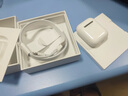 Apple/苹果 闪电/Lightning接口的EarPods 苹果耳机有线耳机原装耳机 适用闪电接口的iPhone/iPad 实拍图