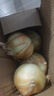 新鲜黄洋葱黄金水果洋葱即食蔬菜调料烧烤食材 新鲜黄洋葱 3斤 含箱 实拍图
