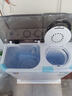 小鸭牌洗衣机半自动双桶双缸家用大容量小型租房宿舍波轮脱水甩干两用双杠省电老式强动力易操作以旧换新 8.5公斤【洗5.5+脱3.0｜强劲电机全国联保】 实拍图
