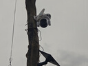 霸天安4G太阳能摄像头 监控室外免插电无需连wifi终身免流量 监控器360度无死角带夜视 全景追踪手机远程 实拍图